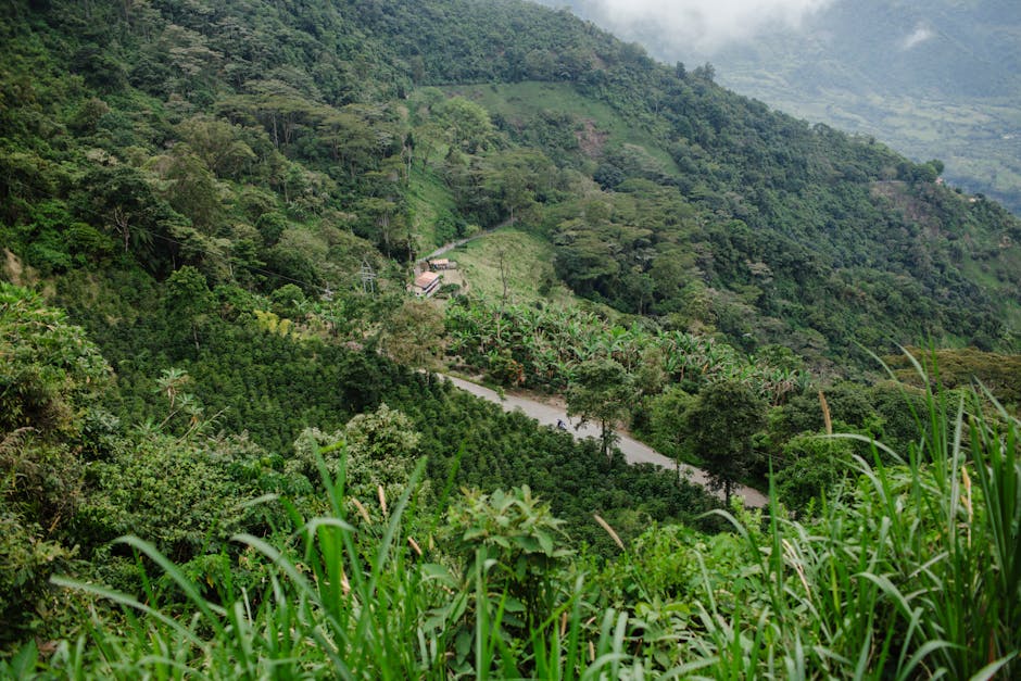 Colombia