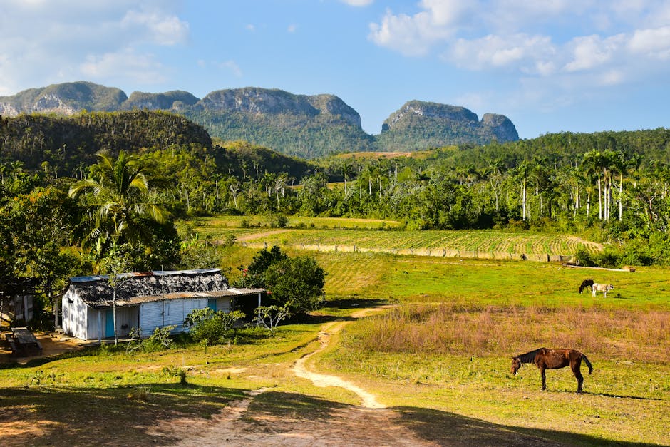 Cuba