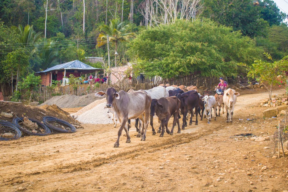 Honduras