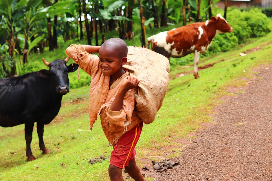 Uganda